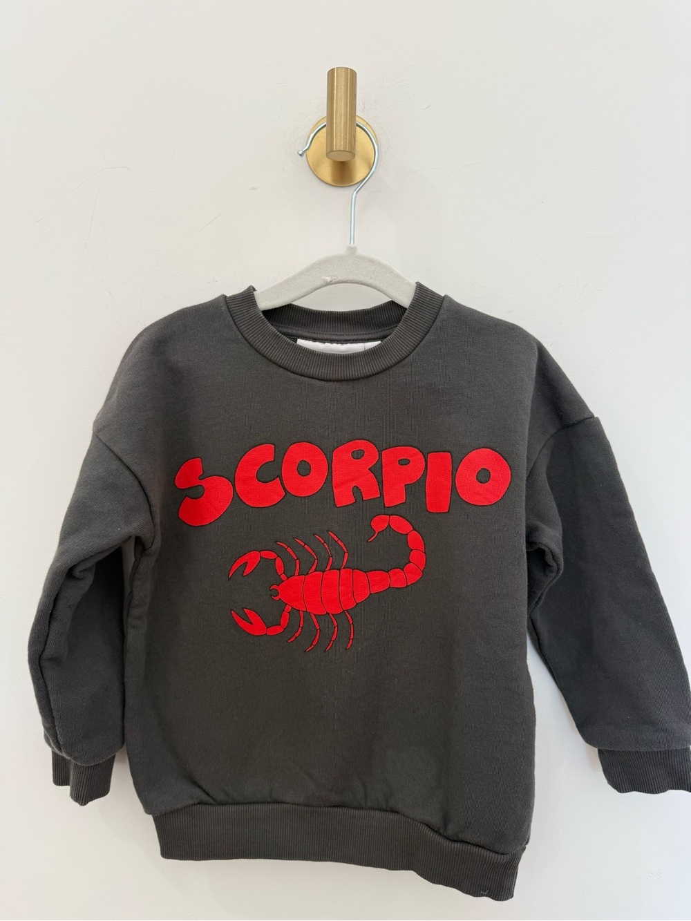 Mini Rodini Charcoal ‘Scorpio’ Sweatshirt with Red Graphic